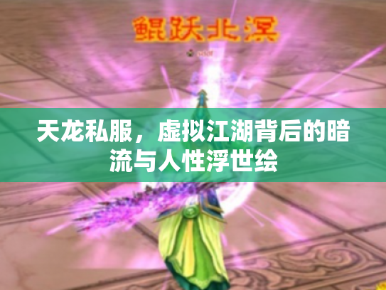 天龙私服，虚拟江湖背后的暗流与人性浮世绘
