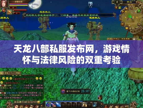 天龙八部私服发布网，游戏情怀与法律风险的双重考验