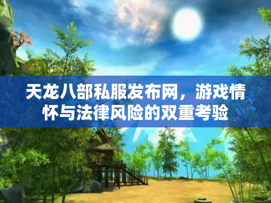 天龙八部私服发布网，游戏情怀与法律风险的双重考验