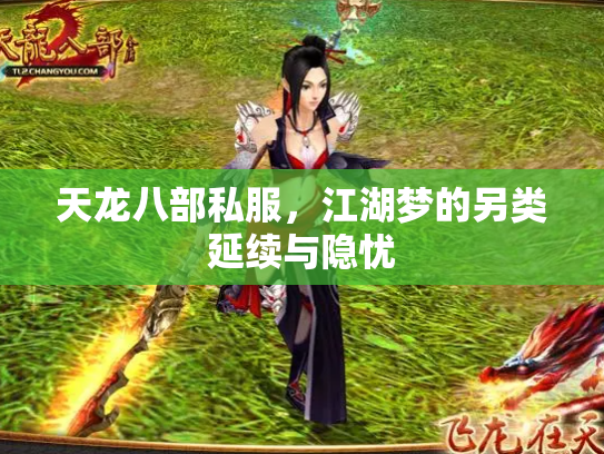 天龙八部私服，江湖梦的另类延续与隐忧