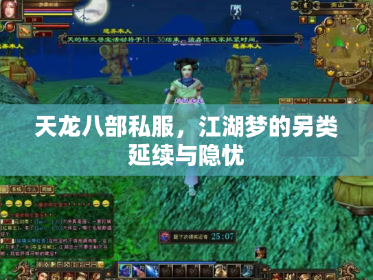 天龙八部私服，江湖梦的另类延续与隐忧