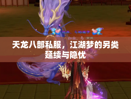 天龙八部私服，江湖梦的另类延续与隐忧