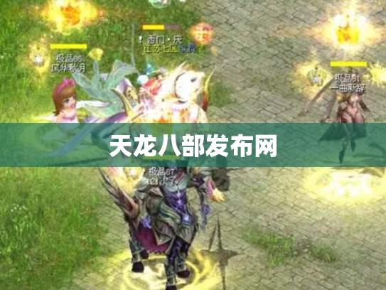 天龙八部发布网