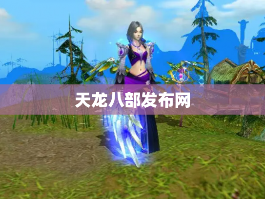 天龙八部发布网