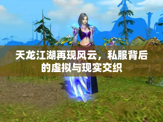 天龙江湖再现风云，私服背后的虚拟与现实交织