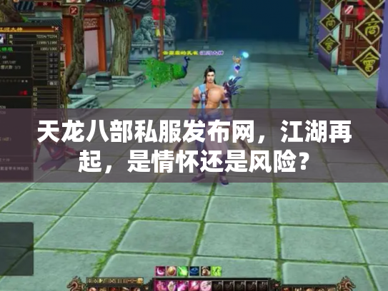 天龙八部私服发布网，江湖再起，是情怀还是风险？
