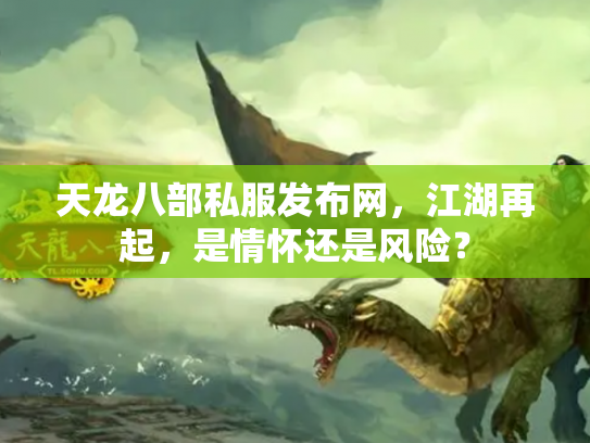天龙八部私服发布网，江湖再起，是情怀还是风险？