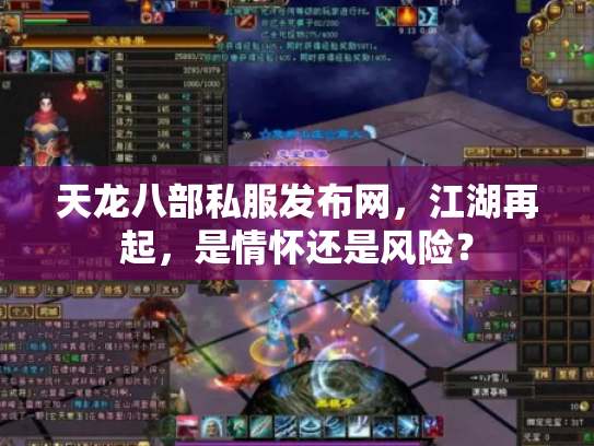 天龙八部私服发布网，江湖再起，是情怀还是风险？