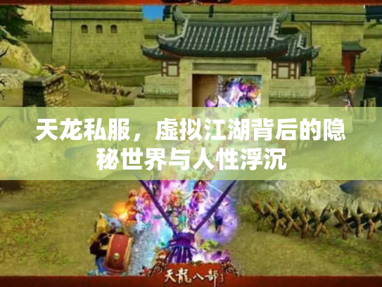 天龙私服，虚拟江湖背后的隐秘世界与人性浮沉