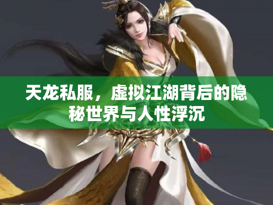 天龙私服，虚拟江湖背后的隐秘世界与人性浮沉