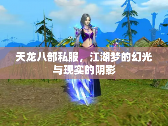 天龙八部私服，江湖梦的幻光与现实的阴影
