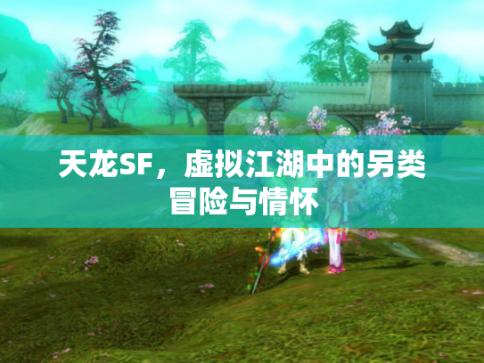 天龙SF，虚拟江湖中的另类冒险与情怀