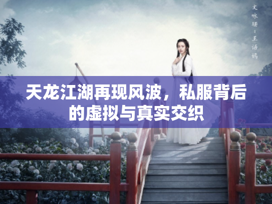 天龙江湖再现风波，私服背后的虚拟与真实交织