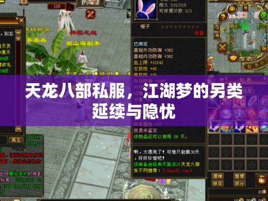 天龙八部私服，江湖梦的另类延续与隐忧