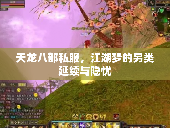 天龙八部私服，江湖梦的另类延续与隐忧