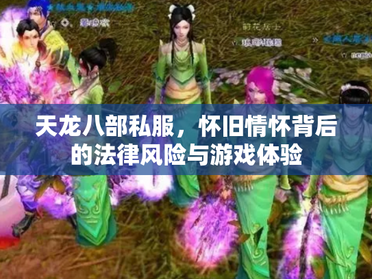 天龙八部私服，怀旧情怀背后的法律风险与游戏体验