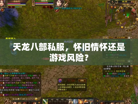 天龙八部私服，怀旧情怀还是游戏风险？