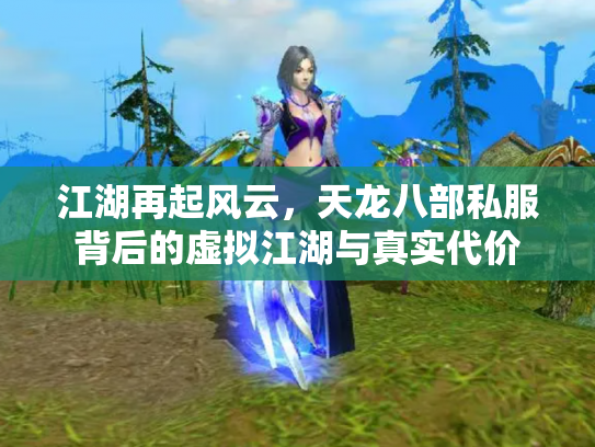 江湖再起风云，天龙八部私服背后的虚拟江湖与真实代价