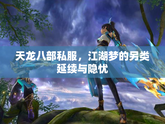 天龙八部私服，江湖梦的另类延续与隐忧