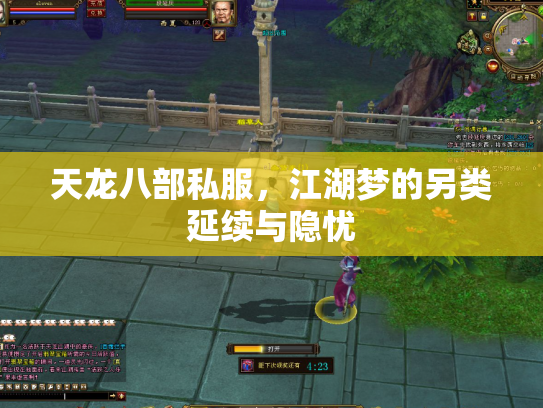 天龙八部私服，江湖梦的另类延续与隐忧