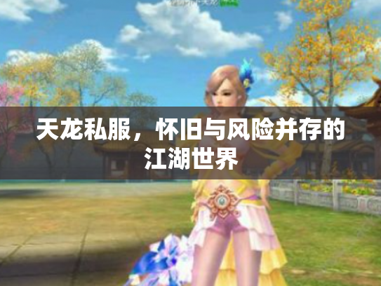 天龙私服，怀旧与风险并存的江湖世界