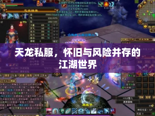 天龙私服，怀旧与风险并存的江湖世界