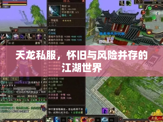 天龙私服，怀旧与风险并存的江湖世界