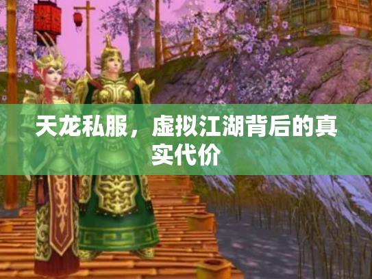 天龙私服，虚拟江湖背后的真实代价