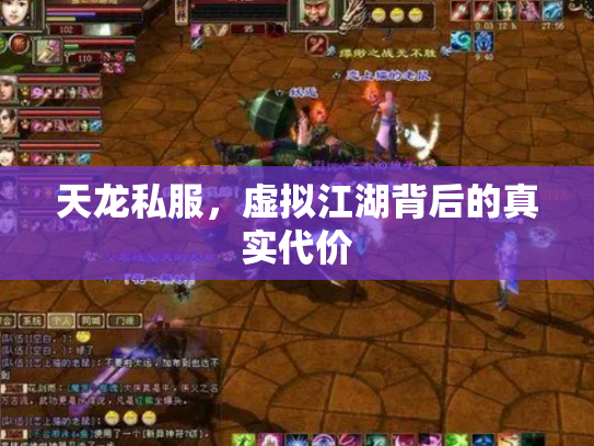 天龙私服，虚拟江湖背后的真实代价