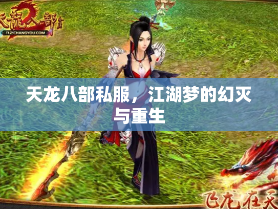 天龙八部私服，江湖梦的幻灭与重生