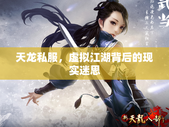 天龙私服，虚拟江湖背后的现实迷思