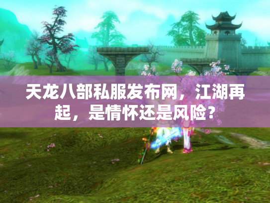 天龙八部私服发布网，江湖再起，是情怀还是风险？