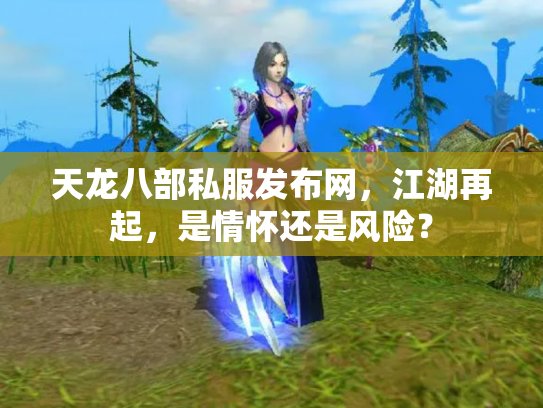 天龙八部私服发布网，江湖再起，是情怀还是风险？