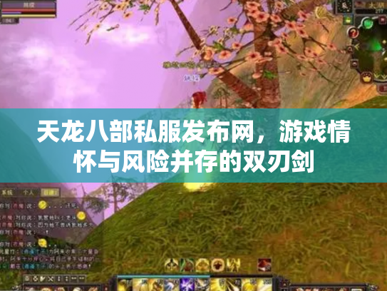 天龙八部私服发布网，游戏情怀与风险并存的双刃剑