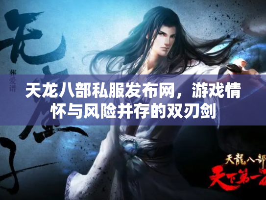 天龙八部私服发布网，游戏情怀与风险并存的双刃剑