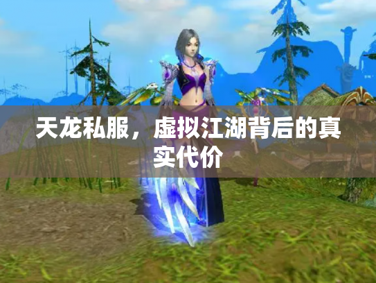 天龙私服，虚拟江湖背后的真实代价