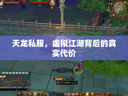 天龙私服，虚拟江湖背后的真实代价