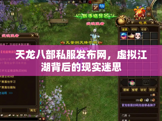天龙八部私服发布网，虚拟江湖背后的现实迷思