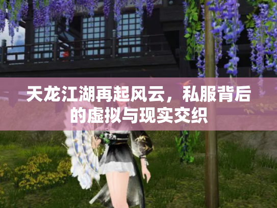 天龙江湖再起风云，私服背后的虚拟与现实交织