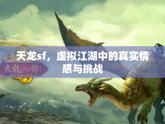 天龙sf，虚拟江湖中的真实情感与挑战