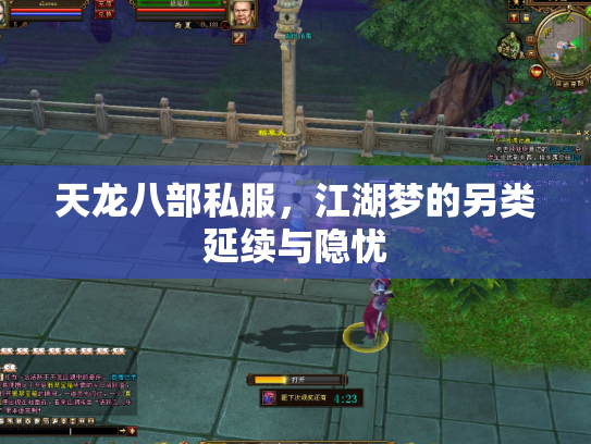 天龙八部私服，江湖梦的另类延续与隐忧