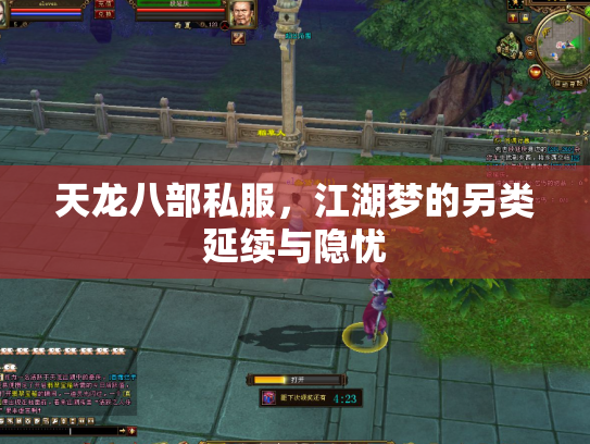 天龙八部私服，江湖梦的另类延续与隐忧
