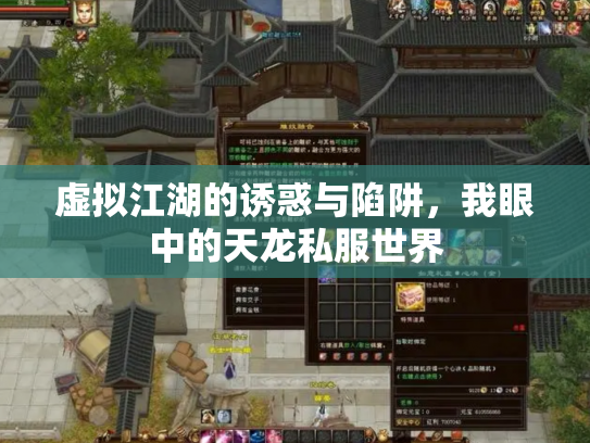 虚拟江湖的诱惑与陷阱，我眼中的天龙私服世界