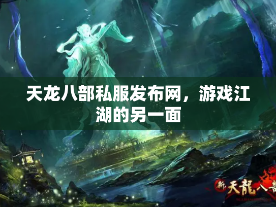 天龙八部私服发布网，游戏江湖的另一面