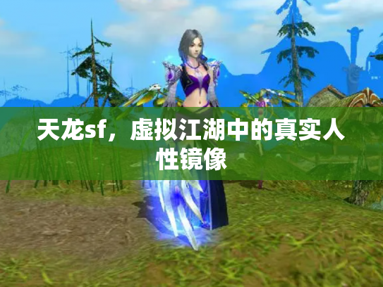 天龙sf，虚拟江湖中的真实人性镜像