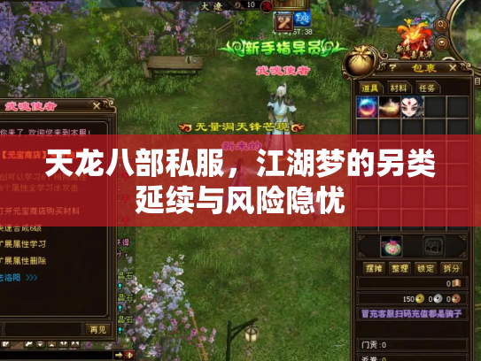 天龙八部私服，江湖梦的另类延续与风险隐忧
