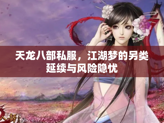 天龙八部私服，江湖梦的另类延续与风险隐忧