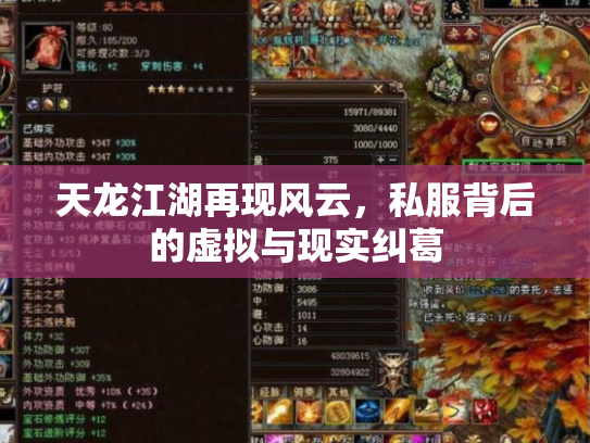 天龙江湖再现风云，私服背后的虚拟与现实纠葛