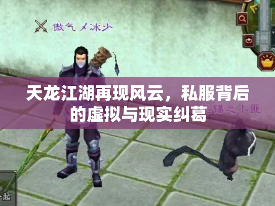 天龙江湖再现风云，私服背后的虚拟与现实纠葛