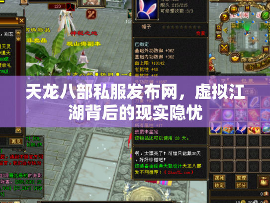 天龙八部私服发布网，虚拟江湖背后的现实隐忧